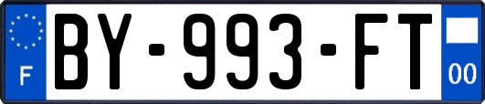 BY-993-FT