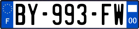 BY-993-FW