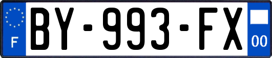 BY-993-FX