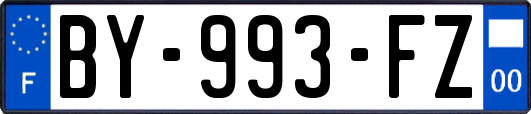 BY-993-FZ