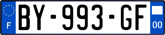 BY-993-GF