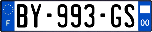 BY-993-GS