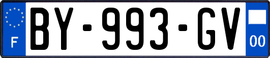 BY-993-GV