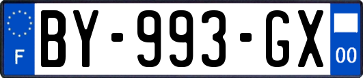 BY-993-GX