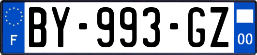 BY-993-GZ