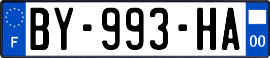 BY-993-HA