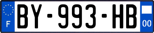 BY-993-HB