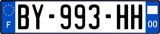 BY-993-HH