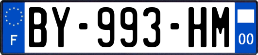BY-993-HM