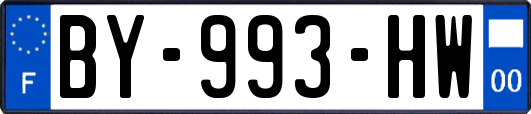 BY-993-HW