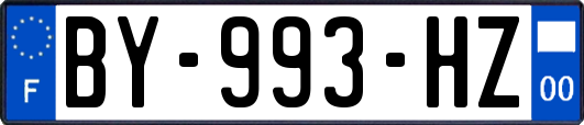 BY-993-HZ