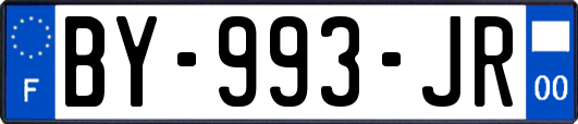 BY-993-JR