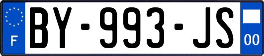 BY-993-JS