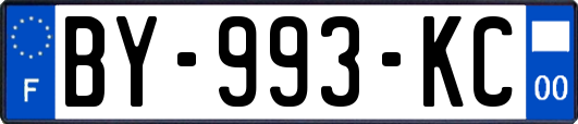 BY-993-KC