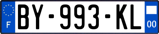 BY-993-KL