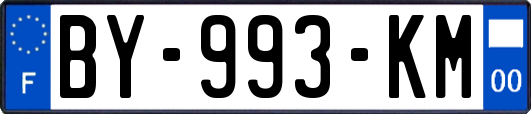 BY-993-KM