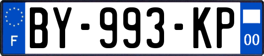 BY-993-KP