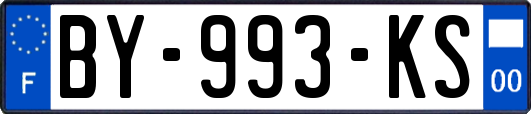 BY-993-KS