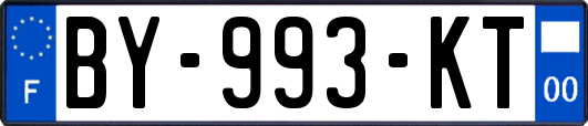 BY-993-KT