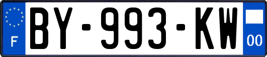 BY-993-KW