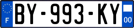 BY-993-KY