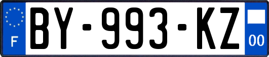 BY-993-KZ