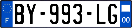 BY-993-LG