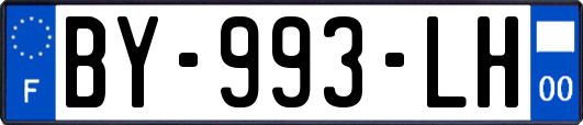 BY-993-LH