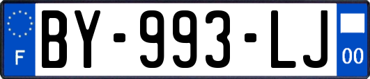 BY-993-LJ