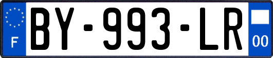 BY-993-LR