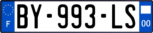 BY-993-LS