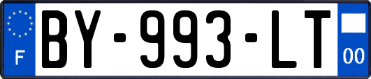 BY-993-LT