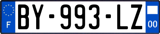 BY-993-LZ