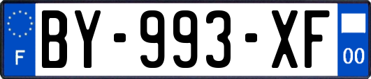 BY-993-XF