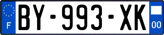 BY-993-XK