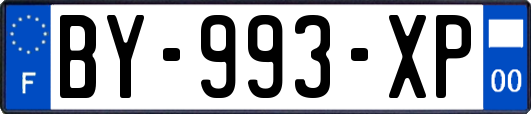 BY-993-XP