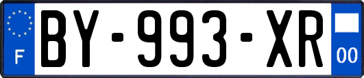BY-993-XR