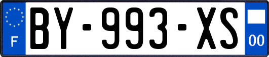 BY-993-XS