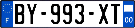 BY-993-XT