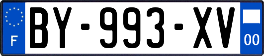 BY-993-XV
