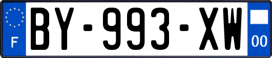 BY-993-XW
