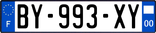 BY-993-XY