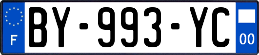 BY-993-YC