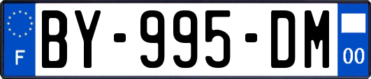 BY-995-DM