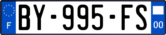 BY-995-FS