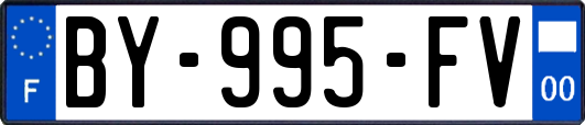 BY-995-FV