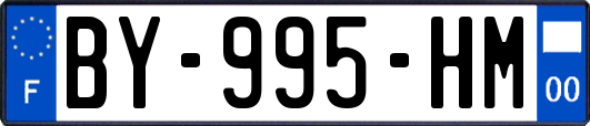 BY-995-HM