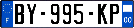 BY-995-KP