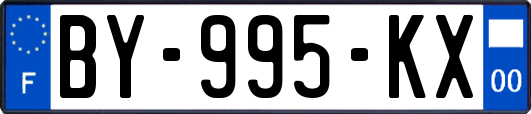 BY-995-KX