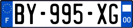 BY-995-XG